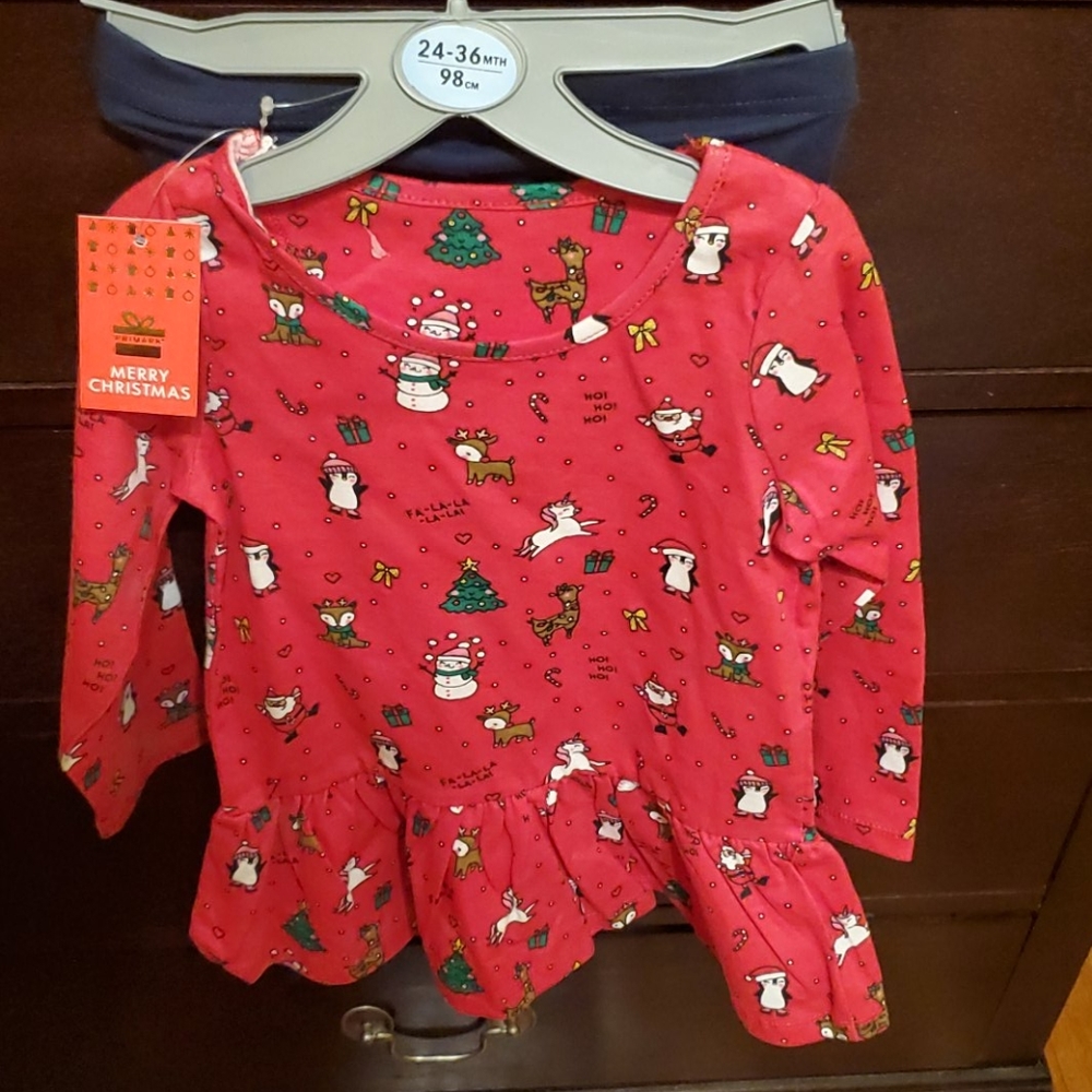 Two Piece  Christmas Outfit
